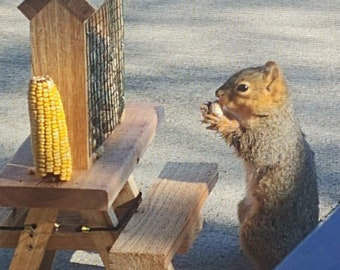 Squirrel Picnic Table Peanut Feeder with Hopper and Corn Cob Holders, Handmade from Solid Cedar Wood