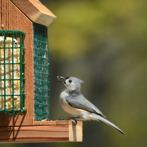 Hanging Bird Feeder with Double Suet Cake Feeders| Holds Bird Feed and Suet Cakes | Handmade from Solid Cedar Wood | FREE SHIPPING