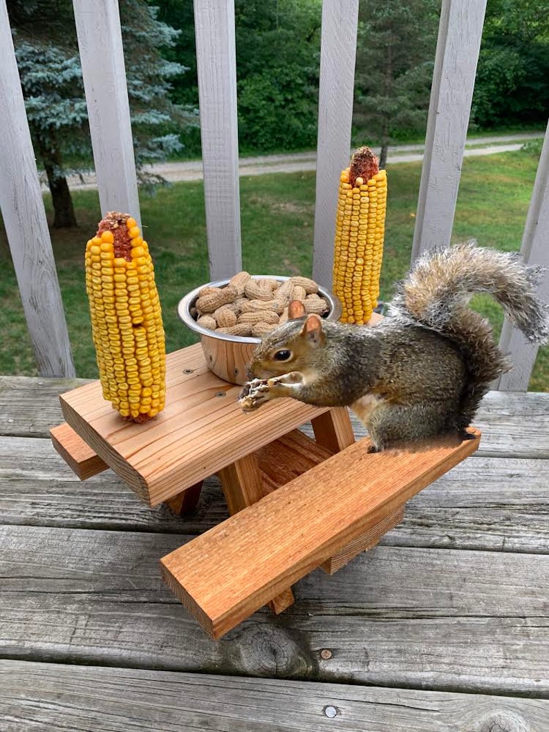Squirrel Mini Picnic Table Feeder with Bowl Holds Peanuts Etsy