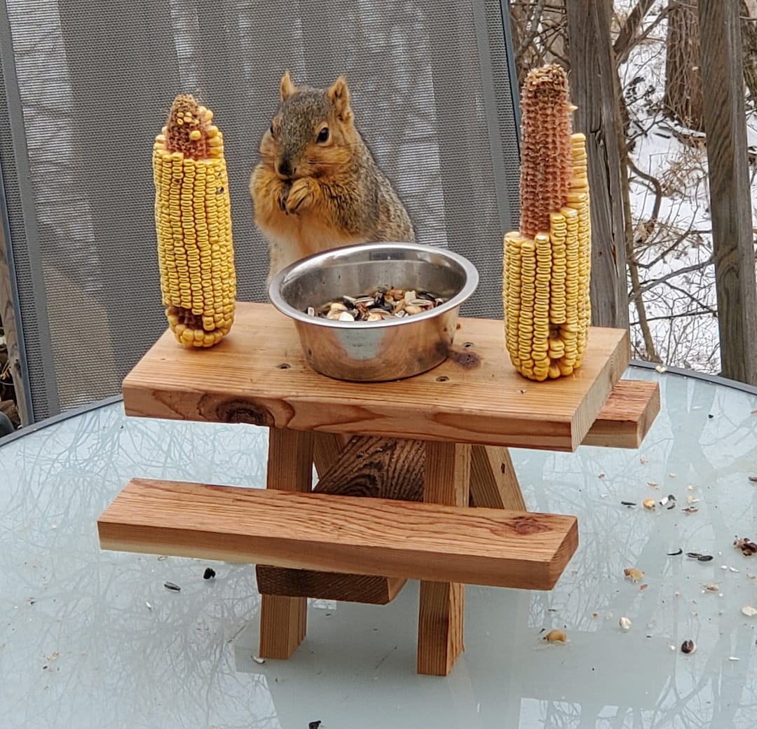 Squirrel Picnic Table Feeder With Corn Cob Holders & Bowl, Handmade ...