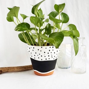 Black and white polka dot hand painted terra cotta pot, indoor planter pot with drainage hole. Black on bottom