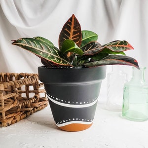 Hand painted terra cotta pot, black and white painted terra cotta pot with varnish, indoor planter, pot with drainage hole.