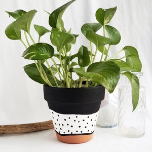 Black and white polka dot hand painted terra cotta pot, indoor planter pot with drainage hole. Black on top