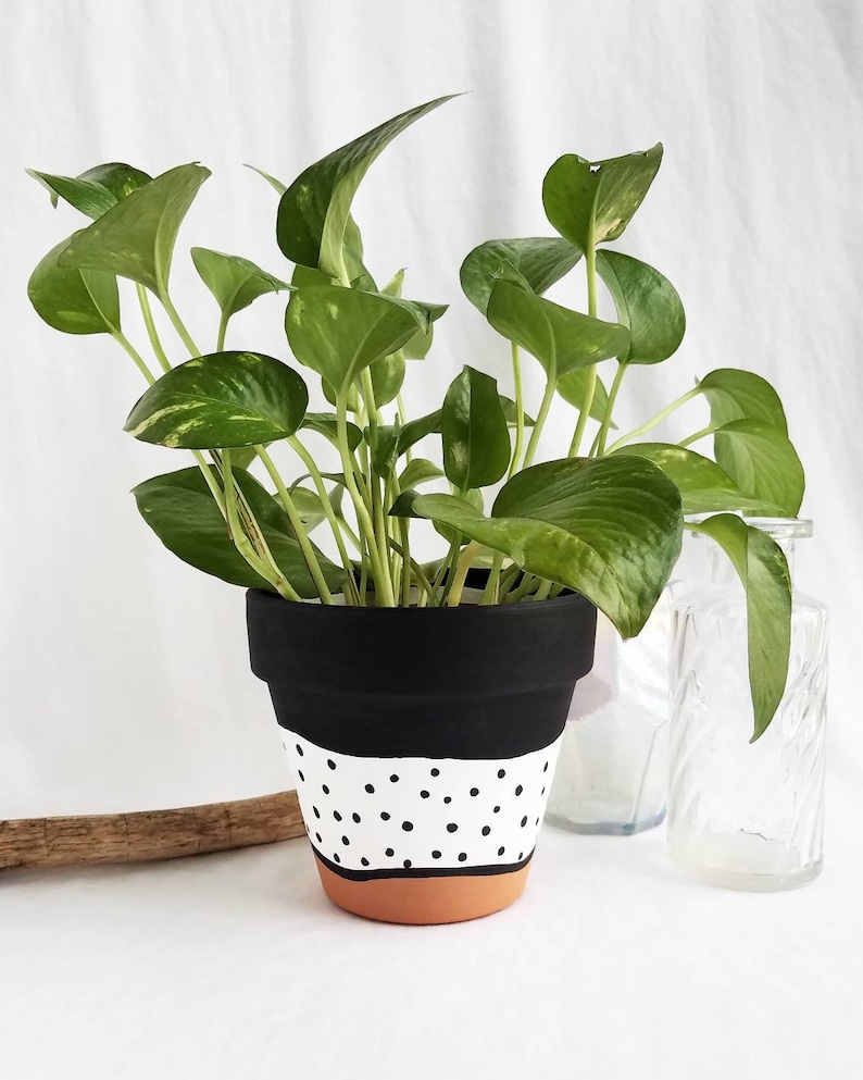 Black and white polka dot hand painted terra cotta pot, indoor planter pot with drainage hole. Black on top