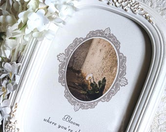 Bloom Where You're Planted Frame: Concrete Flower Art, Heirloom White