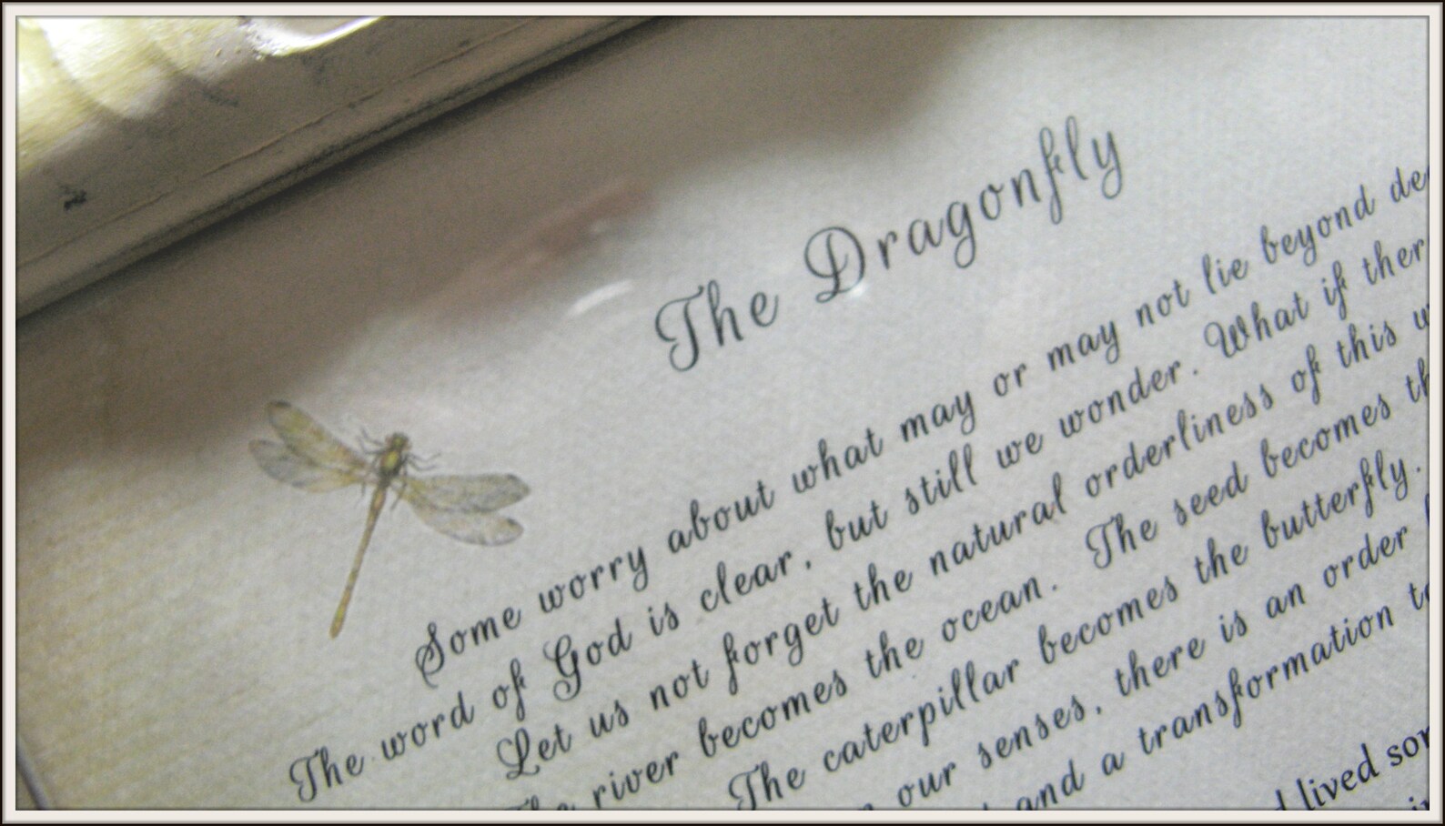 THE DRAGONFLY framed story on death dying Sympathy gift Etsy
