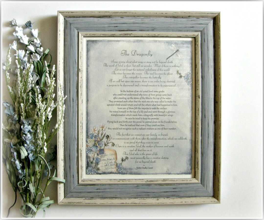 THE DRAGONFLY Story Death Dying Sympathy Gift Grieving - Etsy
