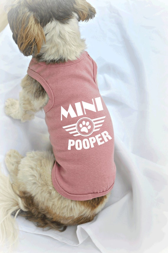 cute small dog outfits