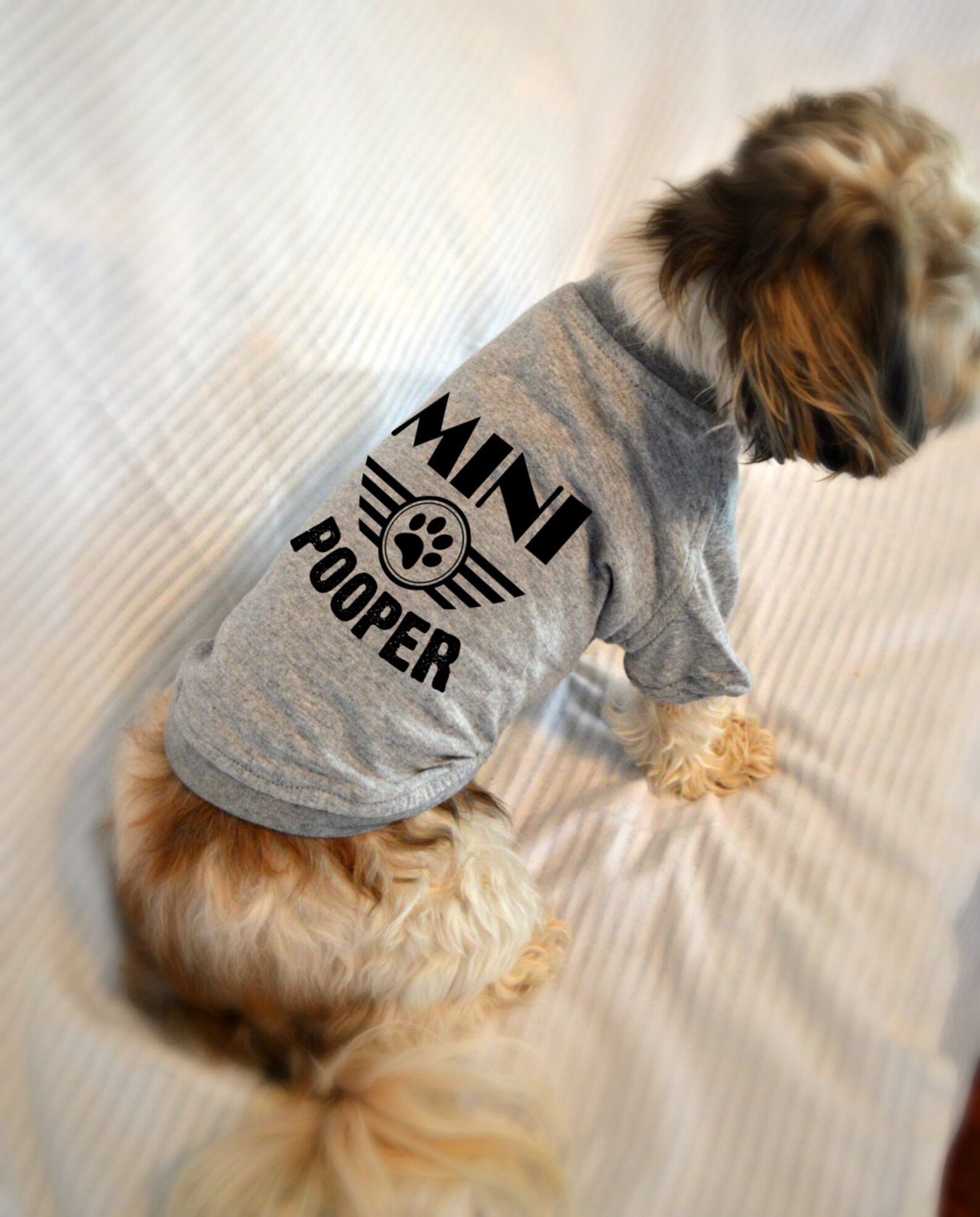 Small Dog TShirts. Mini Pooper Shirt. Pet Clothes. Gift for Etsy