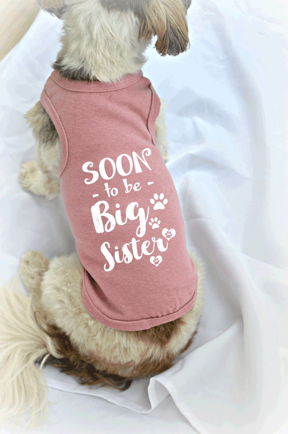 Soon to be Big Sister Dog Shirt. Small Pet Clothes. Gift for Etsy