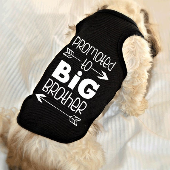 promoted to big brother dog shirt