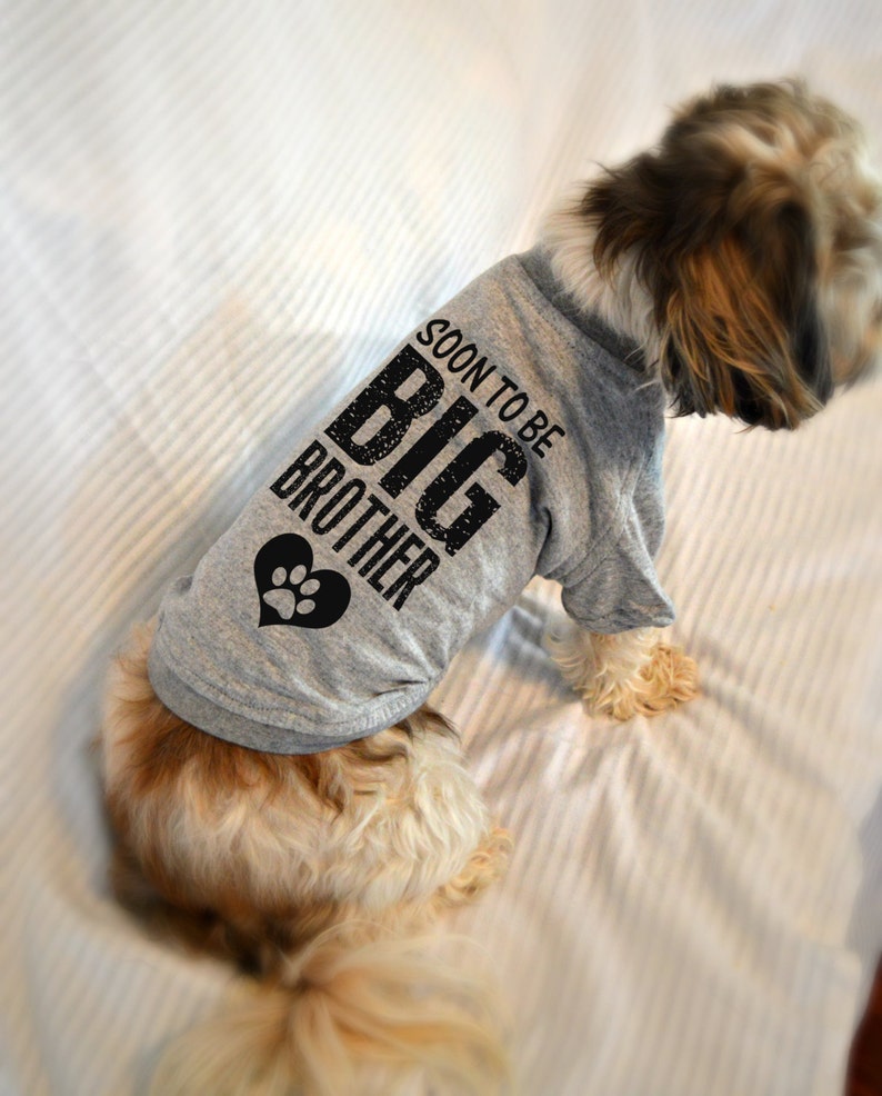 melissa & doug rocking horse