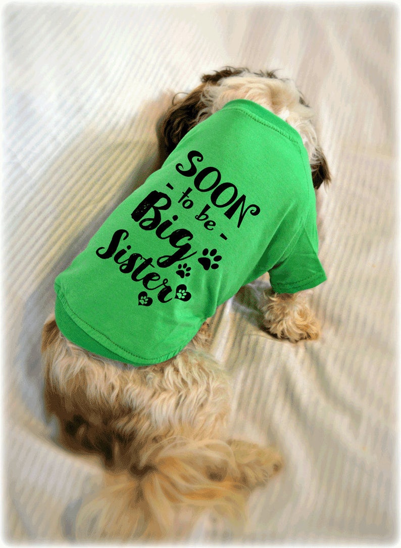 Soon to Be Big Sister Dog TShirt Baby Reveal Idea Etsy
