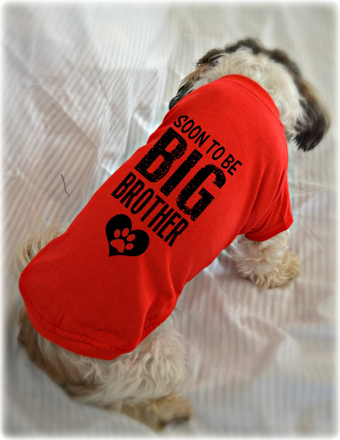 Soon to Be Big Brother Dog Shirt Pregnancy Announcement Dog Etsy