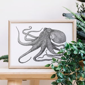 Impresión de ilustración de pulpo * Postal