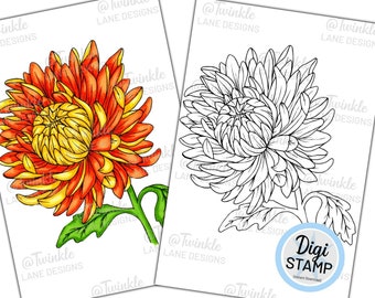 Chrysanthemum Flower - Digi Stamp
