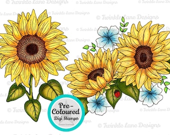 Coloured Sunflowers, Digi Stamp - Instant Download