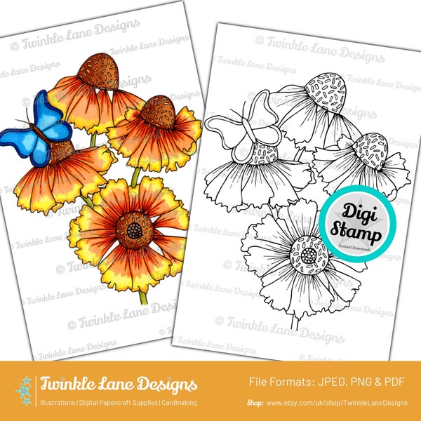 Helenium Flowers, Digi Stamp - Instant Download