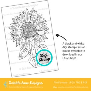 Coloured Sunflowers, Digi Stamp Instant Download image 5