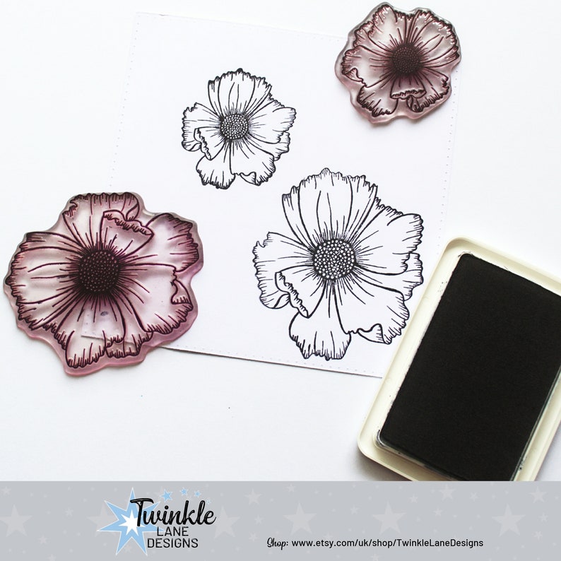 Cosmos, Flower Stamp, Clear Stamps image 3
