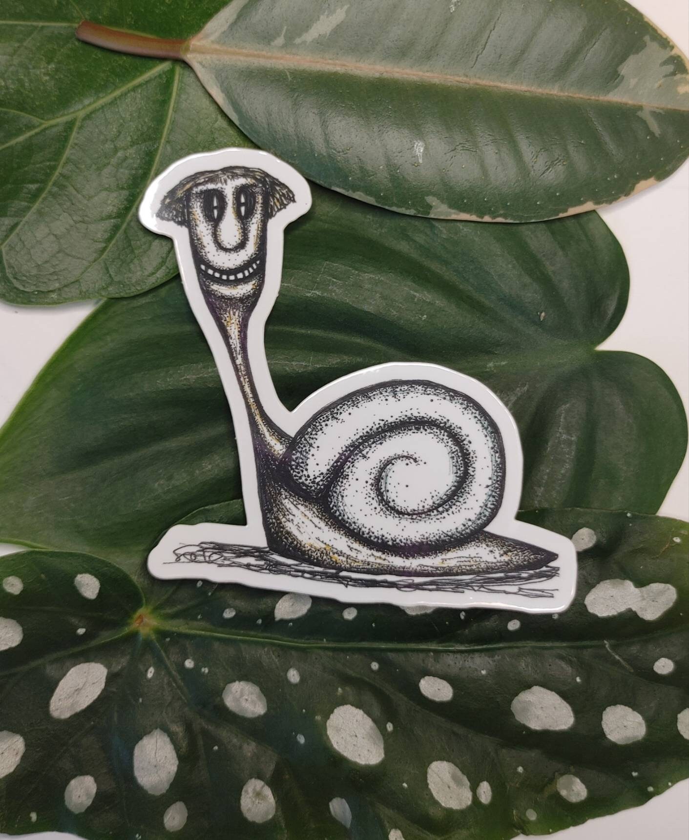 3 Gail the Snail Vinyl Sticker Etsy