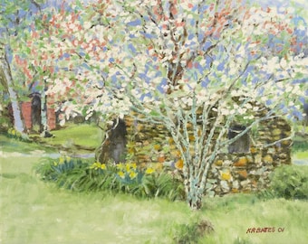 Old Spring House with Daffodils