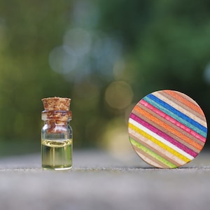 Recycled Skateboard ear Plug, Wooden orange blue ear gauge, handcrafted tunnel