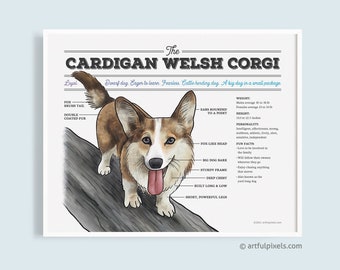 Corgi Dog Poster, Cardigan Welsh Corgi Wall Art, Corgi Gifts, Dog Diagram, Dog Lover Gifts, Dog Watercolor Artwork, Corgi Chart UNFRAMED