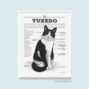 Tuxedo Cat Anatomy Wall Art Print, Black and White Kitty Infographic Chart, Hand-drawn Watercolor Illustration Diagram, Unique Gift UNFRAMED