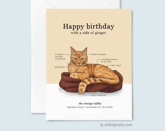 Orange Tabby Cat Birthday Card, Ginger Cat Birthday Card, Cat Lover Card, Funny Cards for Her, Cat Lady Greeting Card, Cat Chart Infographic