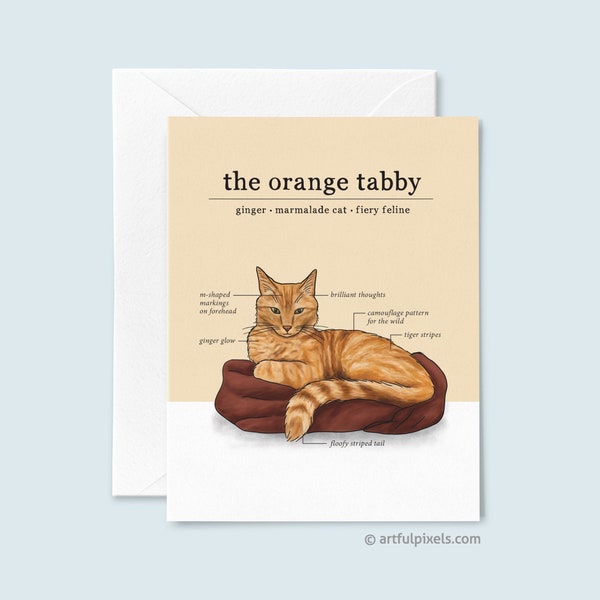 Orange Tabby Cat Greeting Card, Ginger Cat Card, Just Because Card, Cat Lover Card, Funny Cat Lady Greeting Card, Fun Cat Chart Generic Card