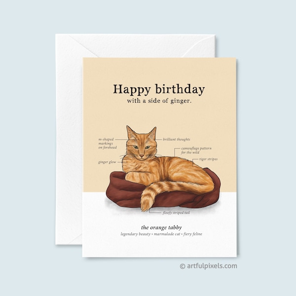 Orange Tabby Cat Birthday Card, Ginger Cat Birthday Card, Cat Lover Card, Funny Cards for Her, Cat Lady Greeting Card, Cat Chart Infographic