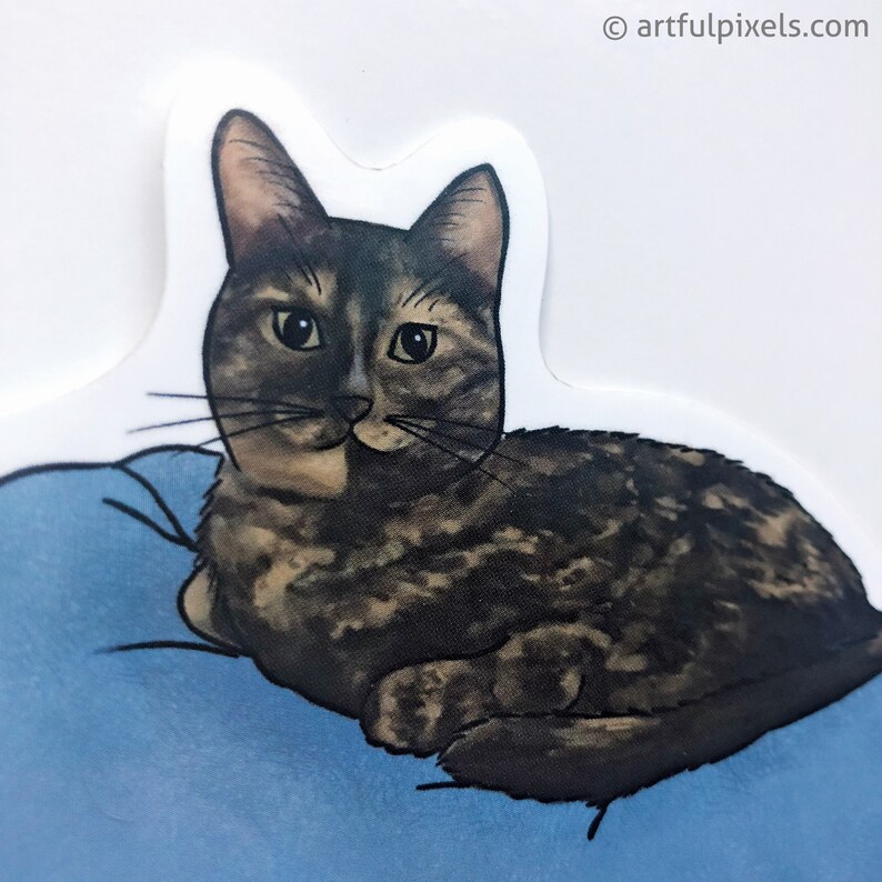 May include: A brown tabby cat with green eyes is lying on a blue pillow. The cat is looking directly at the viewer.