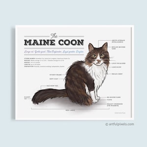 MaineCoon Cat Art, Cat Breed Poster, MaineCoon Cat Diagram, Cat Lover Gift, Cat Mom, Brown Tabby Cat Wall Art, Watercolor Artwork UNFRAMED