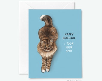 Funny Cat Birthday Card, Brown Tabby Cat Card, Cat Took Your Spot, MaineCoon Cat Lover Greeting Card, Birthday Gift for Her, Gift for Him