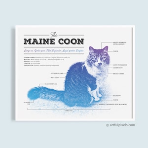 MaineCoon Cat Diagram Print - Funny Art Portrait - Cat Lady Gift for Cat Lover - Digital Watercolor Sketch Effect 8x10 11x14 UNFRAMED