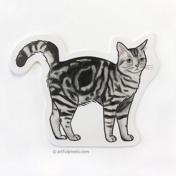 Grey Tabby Cat Sticker: Hand-Drawn American Shorthair Art