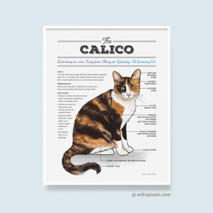 Calico Cat Art Print: Watercolor Infographic, Cat Lover Gift (Unframed)