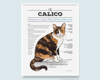 Calico Cat Art, Cute Calico Cat Poster, Cat Breed Artwork, Funny Gift, Calico Cat Lover Gift, Cat Lady Wall Art, Infographic Decor UNFRAMED