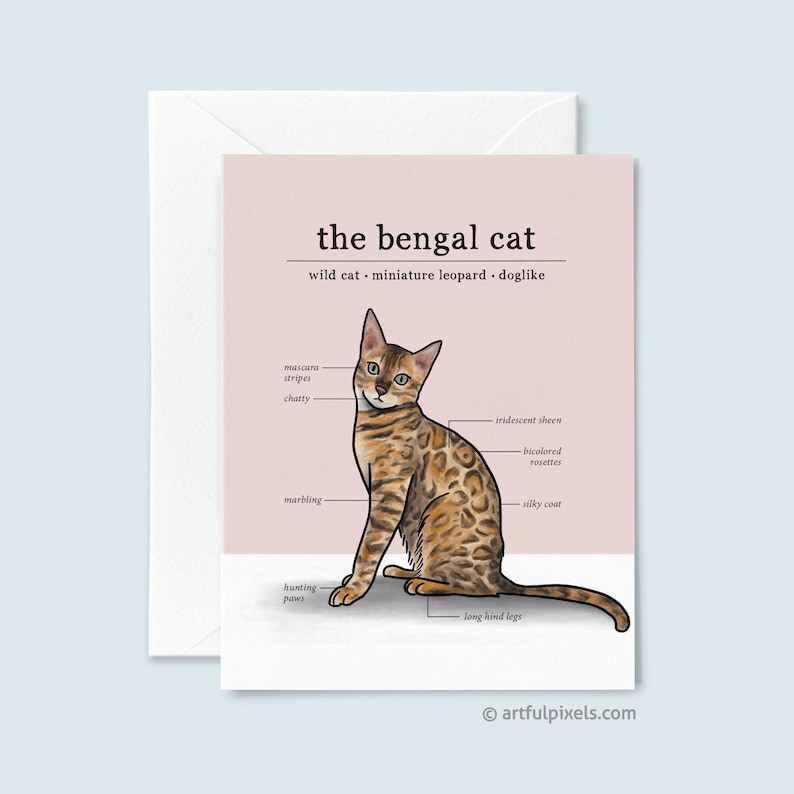 Bengal Cat Greeting Card, Cute Cat Just Because Card, Bengal Cat Lover Card, Funny Card for Her, Cat Lady Greeting Card, Fun Cat Breed Chart image 1