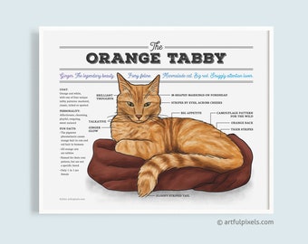 Orange Tabby Cat Art, Ginger Cat Chart Infographic Poster, Cat Lover, Gifts for Her, Cat Lady Home Decor, Watercolor Illustration UNFRAMED