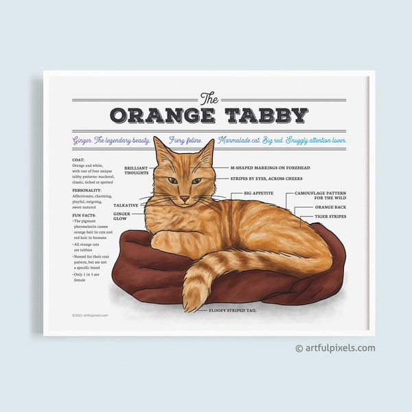 Orange Tabby Cat Art, Ginger Cat Chart Infographic Poster, Cat Lover, Gifts for Her, Cat Lady Home Decor, Watercolor Illustration UNFRAMED