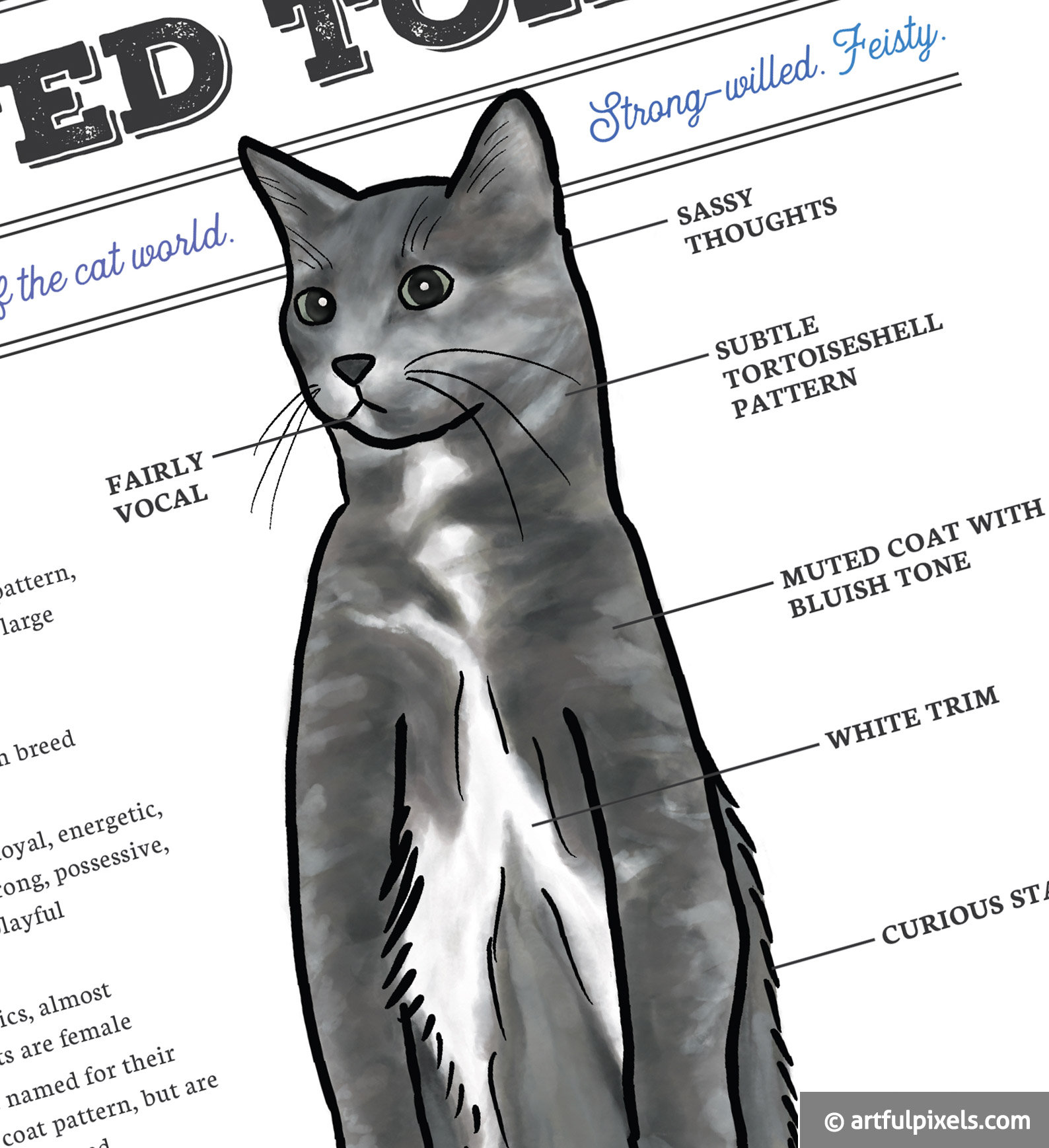 Muted Tortie Grey Cat Art Dilute Tortoiseshell Cat Artwork