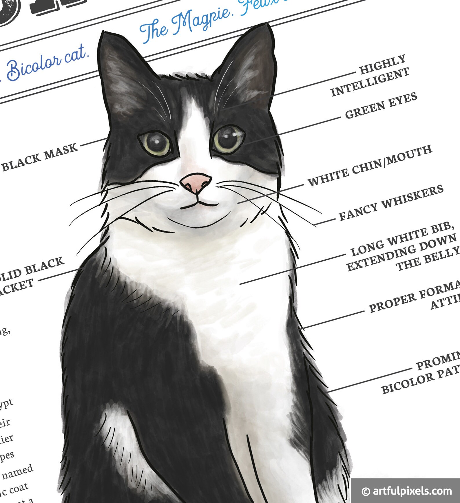 Tuxedo Cat Art Print Cat Chart Poster Black and White Cat Etsy Canada