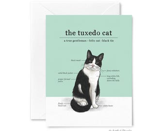 Tuxedo Cat Greeting Card, Black and White Cat, Just Because Card, Everyday Card, Cat Lover, Funny Cards for Her, Cat Lady, Cat Breed Chart