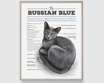 Russian Blue Cat Diagram Art Print, Grey Cat Lover Gift, Hand-Drawn Artwork, UNFRAMED