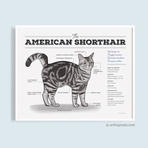 Grey Tabby Cat Art, American Shorthair Cat Breed Illustration, Funny Gift for Her, Cat Chart Poster, Watercolor Artwork, Home Decor UNFRAMED image 1