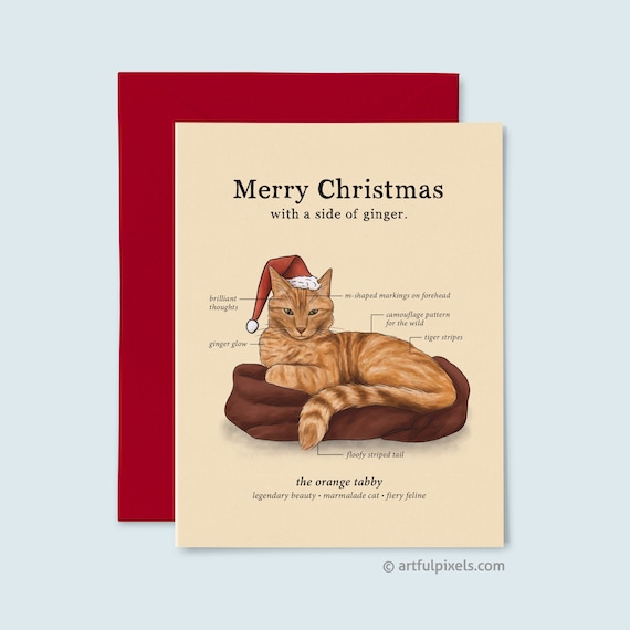 Tabby Cat | Greeting Card Tabby Cat | Greeting Card