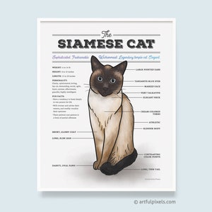 Siamese Cat Art Print, Cat Breed Chart, Gifts for Cat Lovers, Cat Poster, Infographic Artwork, Watercolor Cat Wall Art Gift for Her UNFRAMED