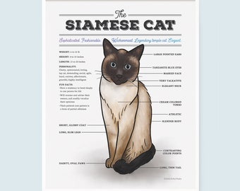 Birthday Proud Siamese Modern Cat Mom High Gloss Poster 10 In X 10 In Gift For Siamese Modern Cat Moms Posters & Prints Gift For Her